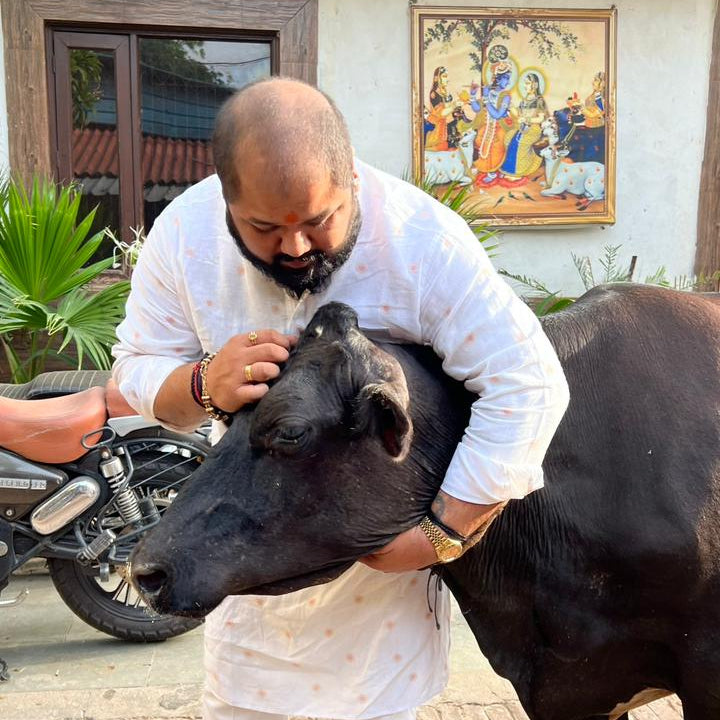 Gau Seva – Donate Nutritious Dry Fodder