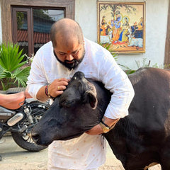 Gau Seva – Donate Nutritious Dry Fodder