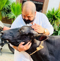 Gau Seva – Donate Nutritious Dry Fodder