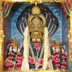 Shri Narsingh Jayanti Poojan Seva - ₹501